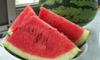 关于吃瓜的议论文