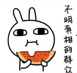 幽默吃娱乐圈瓜文案,幽默文案揭秘明星幕后趣事