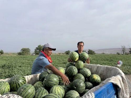 娱乐713吃瓜最新入口