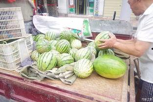 v718.sx娱乐吃瓜,揭秘娱乐圈最新热点事件